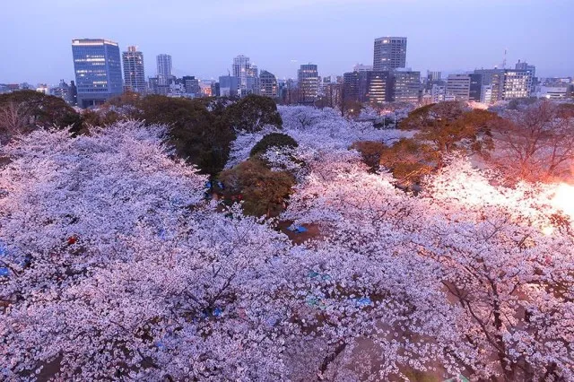 13-tomosang-640x426.jpg