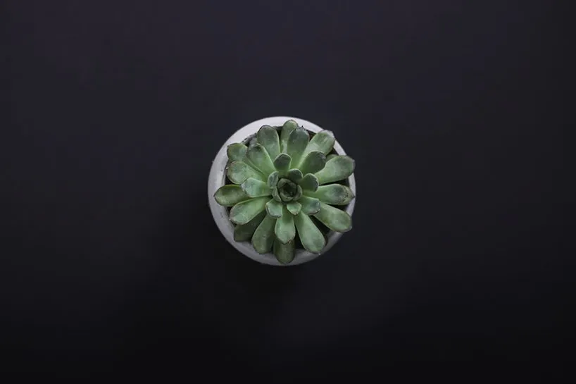 20131107230136547.jpg
