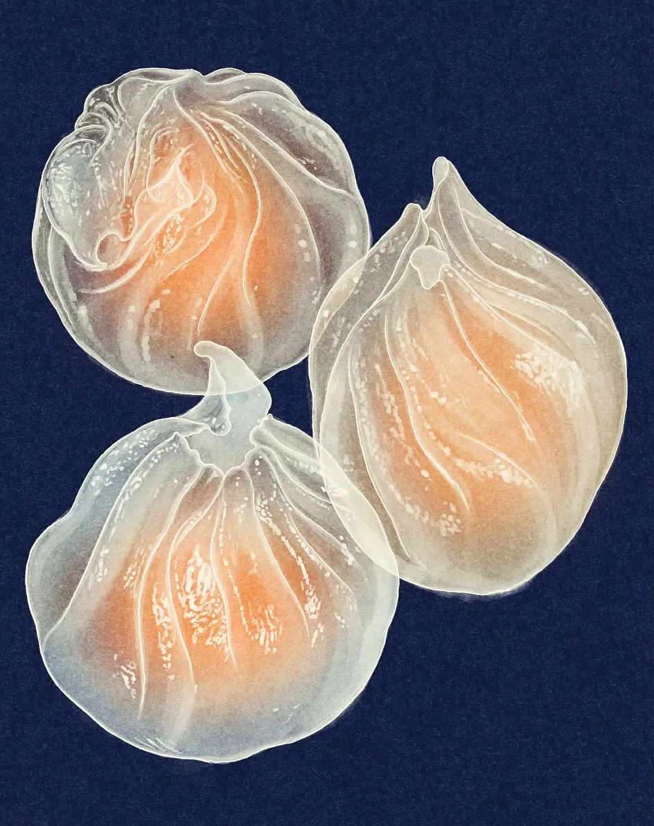 透明蒸笼中露出三颗虾饺，皮薄馅透