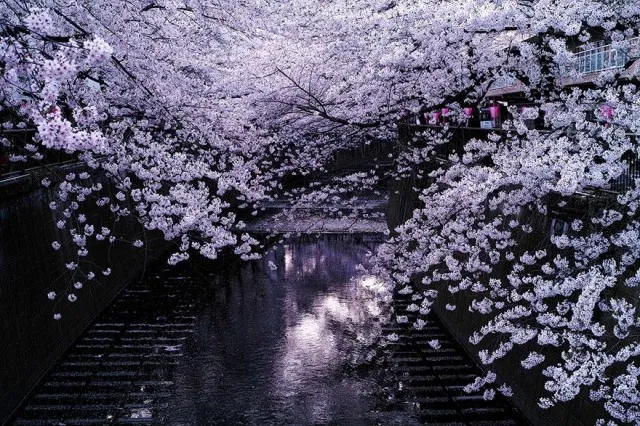 7-Noisy-Paradise-640x426.jpg