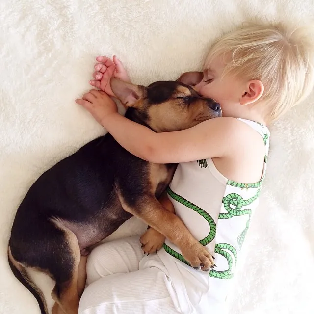 A-Naptime-Story-with-Dog-and-Baby-2.jpg