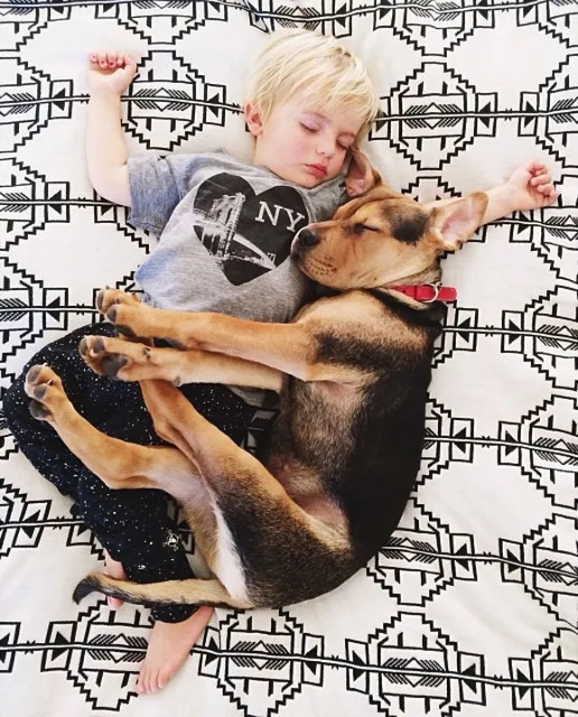 A-Naptime-Story-with-Dog-and-Baby-5.jpg