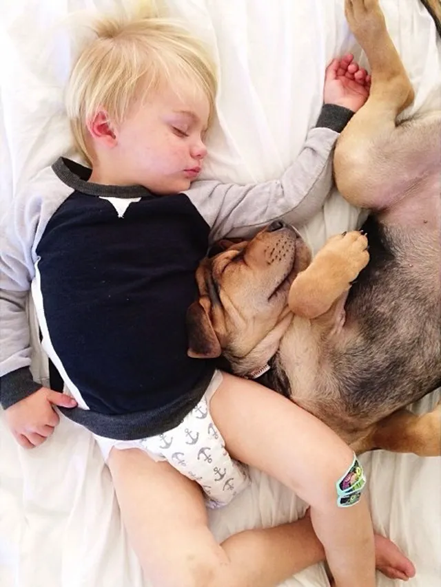 A-Naptime-Story-with-Dog-and-Baby-9.jpg