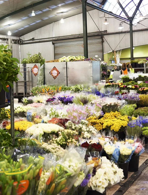 CeciliaFox-FLOWERMARKET.jpg