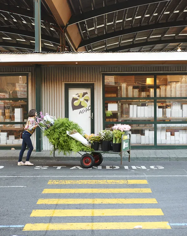 CeciliaFox-trolley.jpg