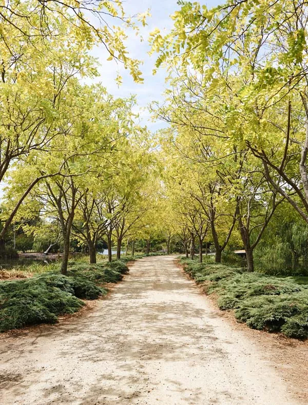 JamesTutton-driveway.jpg
