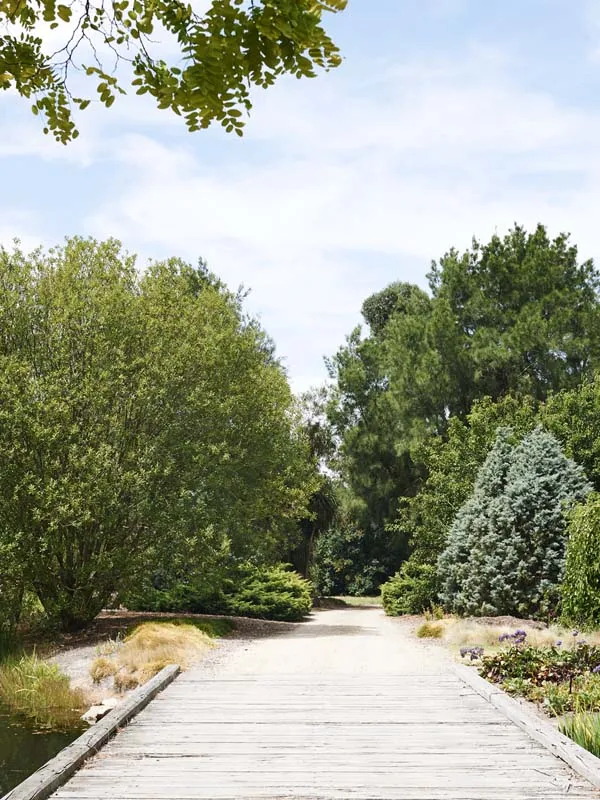 JamesTutton-garden1.jpg