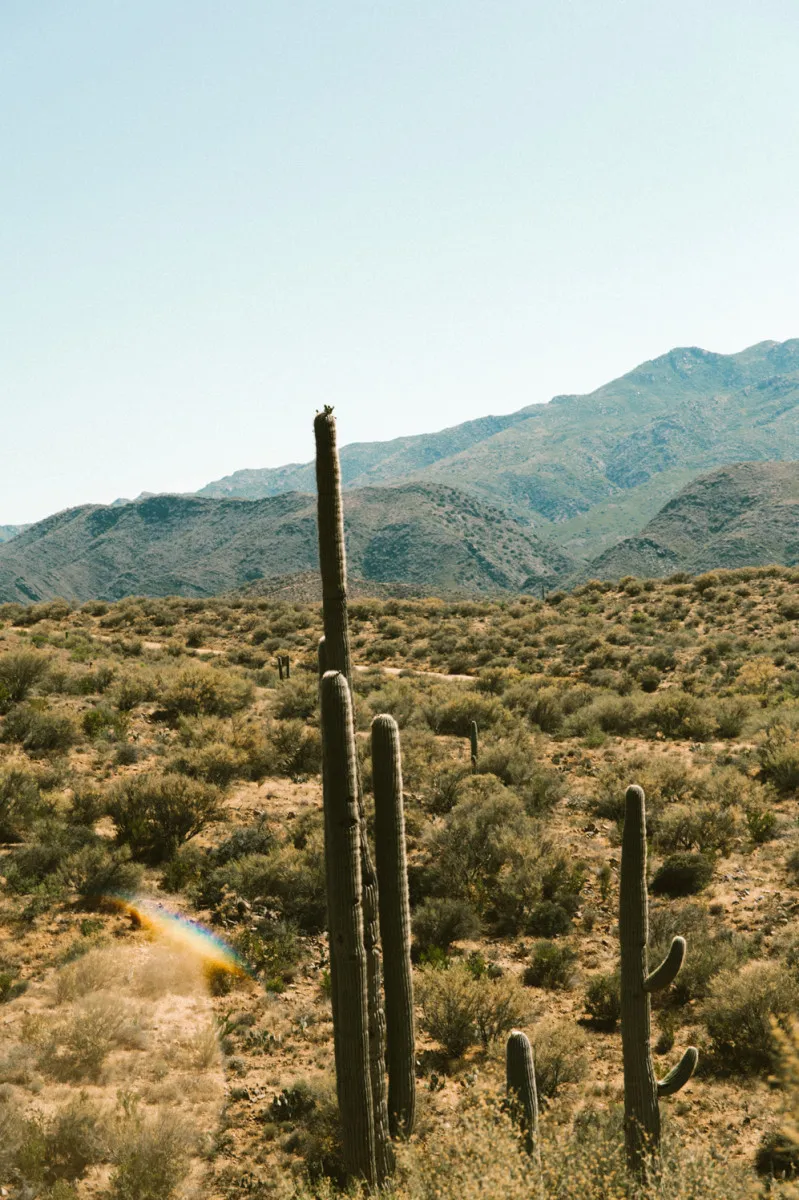 The-American-Southwest-Road-Trip-Pt-1-Red-Rock-Country-desert-campsit-10.jpg