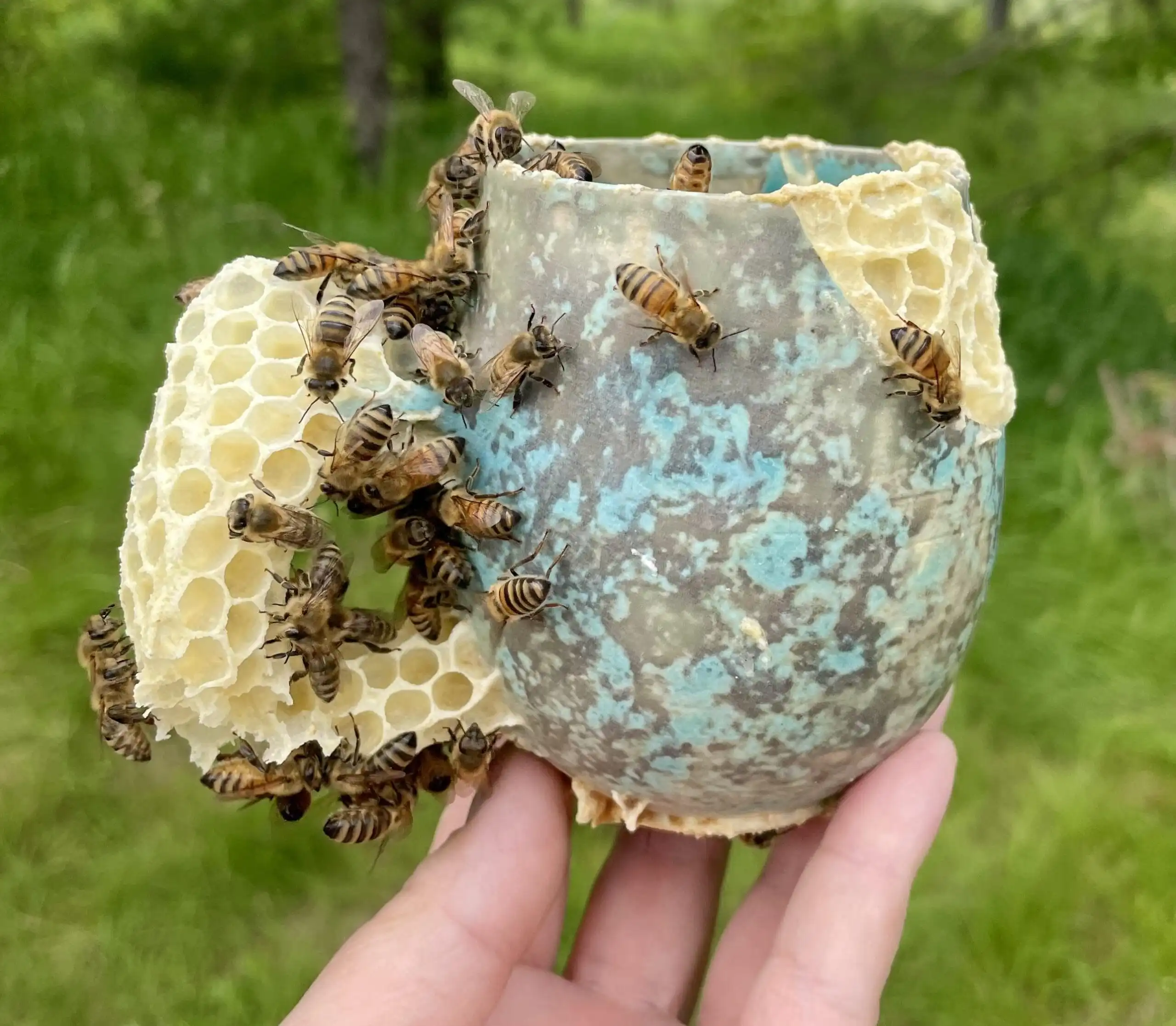 ava-roth-bees-honeycomb-ceramic-kintsugi-sculptures-cover