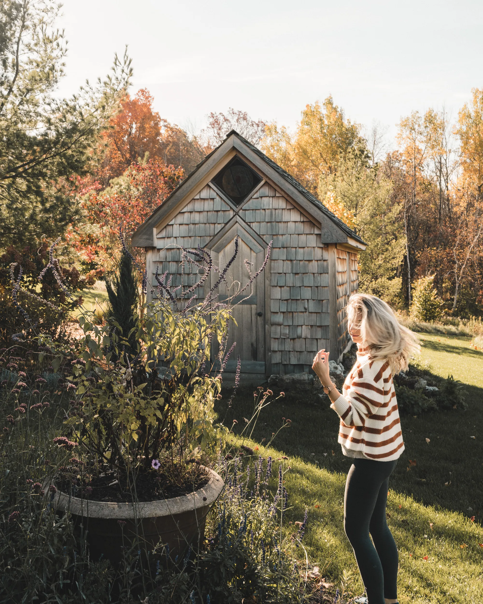 backyard-in-fall-upstate-new-york.jpg
