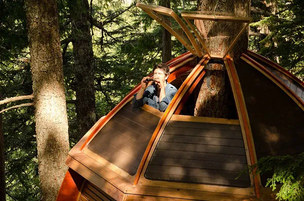 hemloft3.jpg