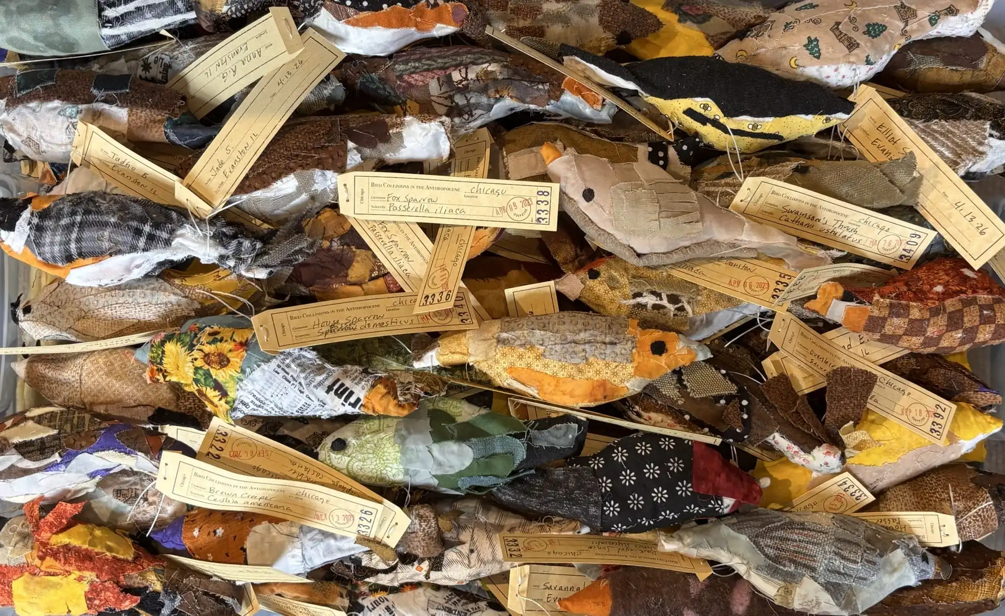 holly-greenberg-bird-collisions-in-the-anthropocene-community-art-cover