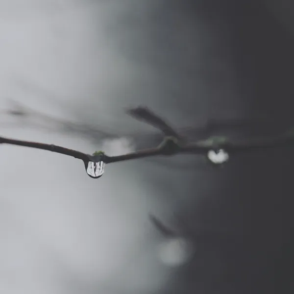 m_1388110025067.jpg