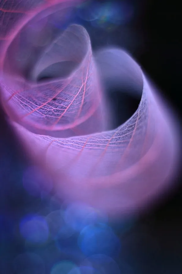 original_FMJI_7b3a000017fb1190.jpg