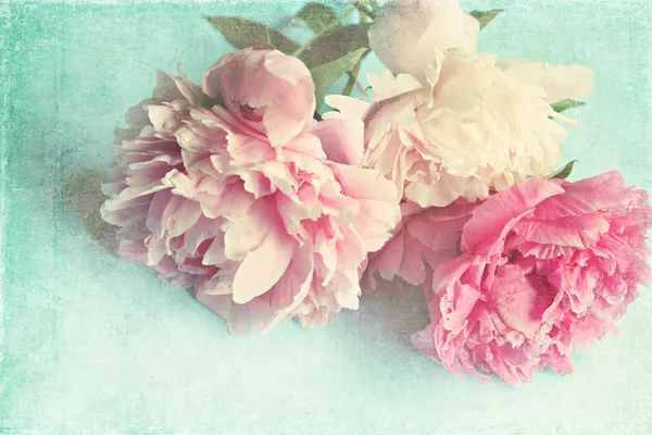 original_KU35_79b00000fe391190.jpg