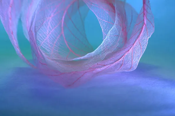 original_gYIO_7e4c000017d1118f.jpg