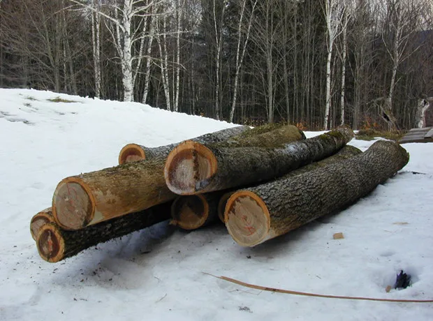original_rqMU_71e1000000e6118c.jpg