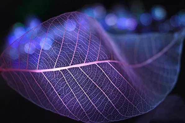 original_ucxa_5a7200001628125d.jpg