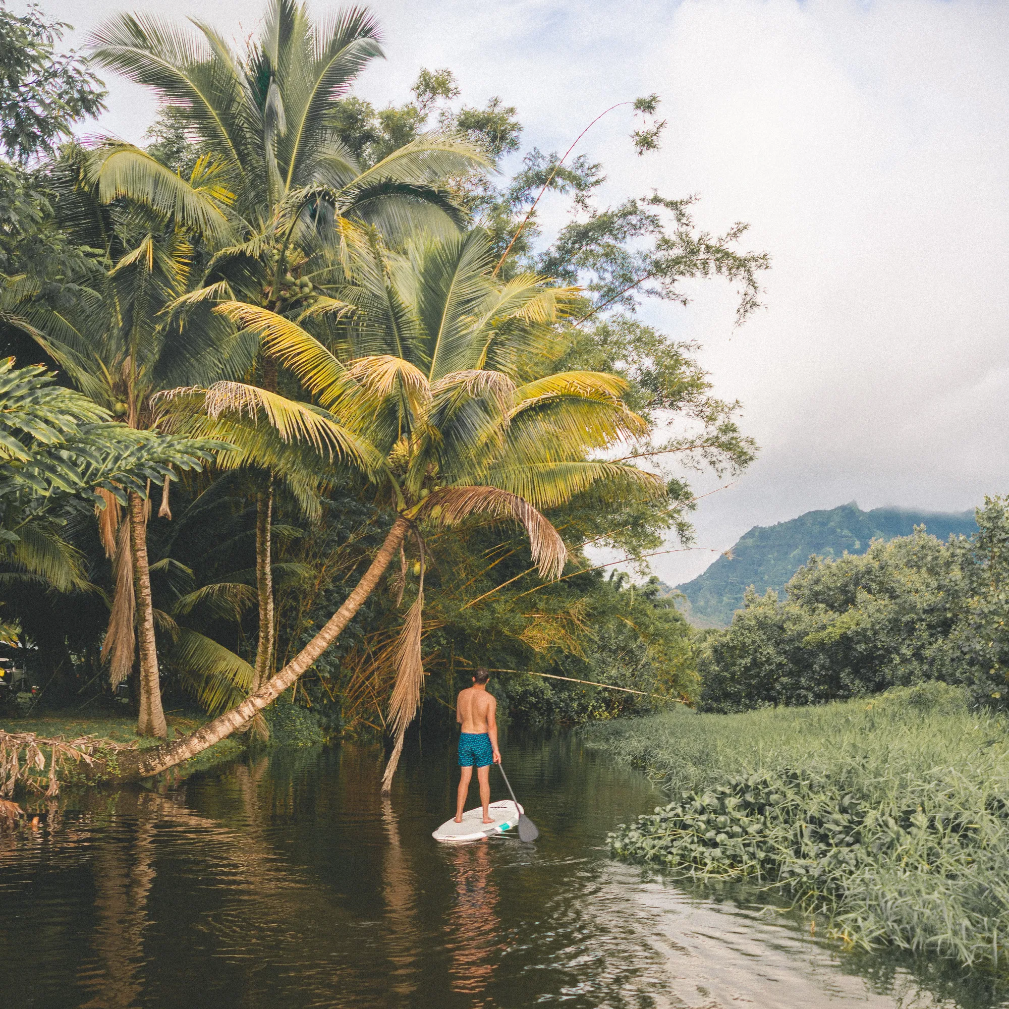 paddleboarding-in-hanalei-bay-kauai.jpg