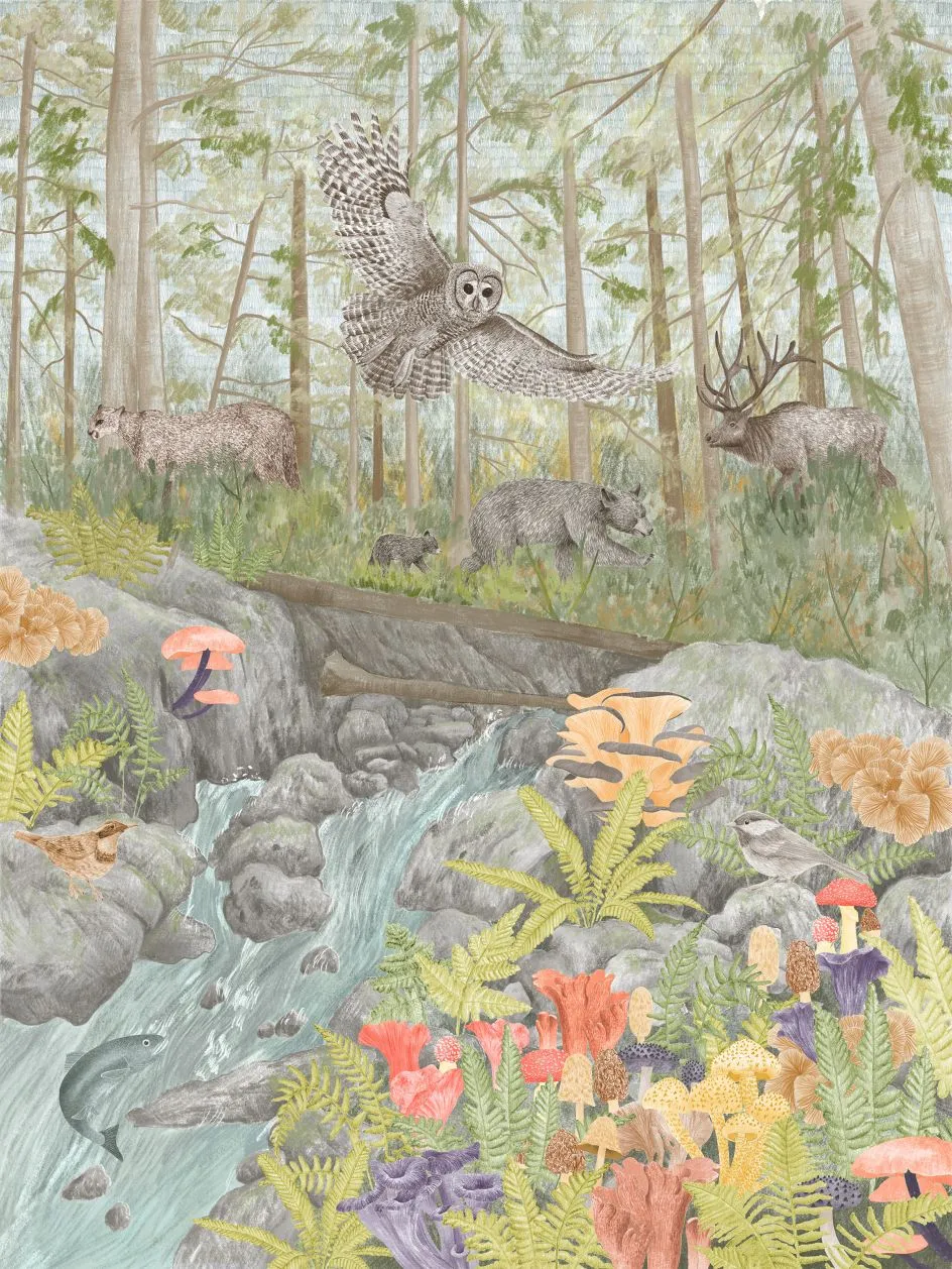 从设计到插画:Stacy Hsu 如何在野外找到创意基础 Image 9