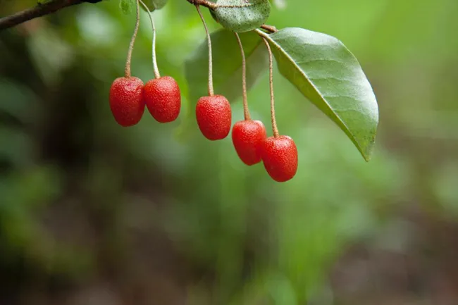 top-755352.jpg