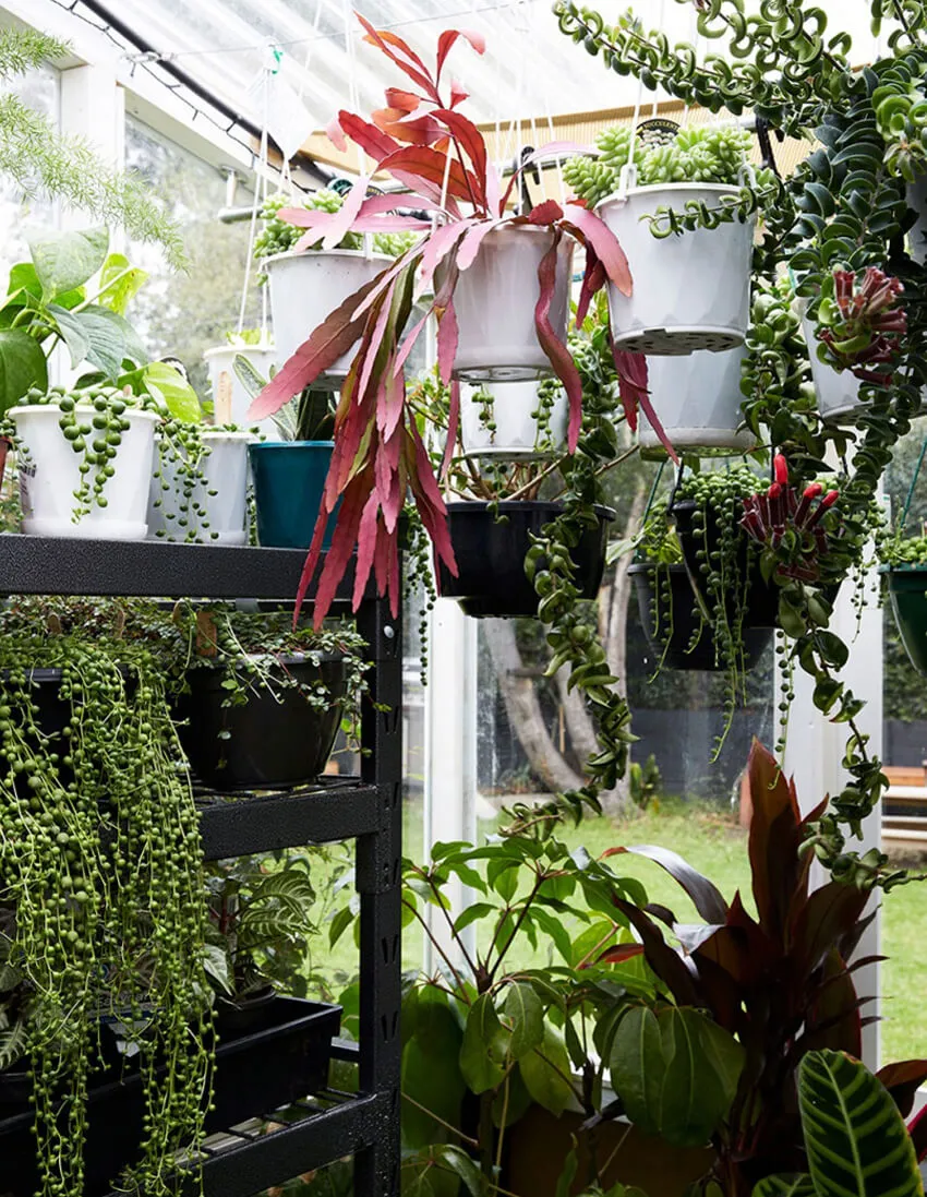 ulifeel-home-13.jpg