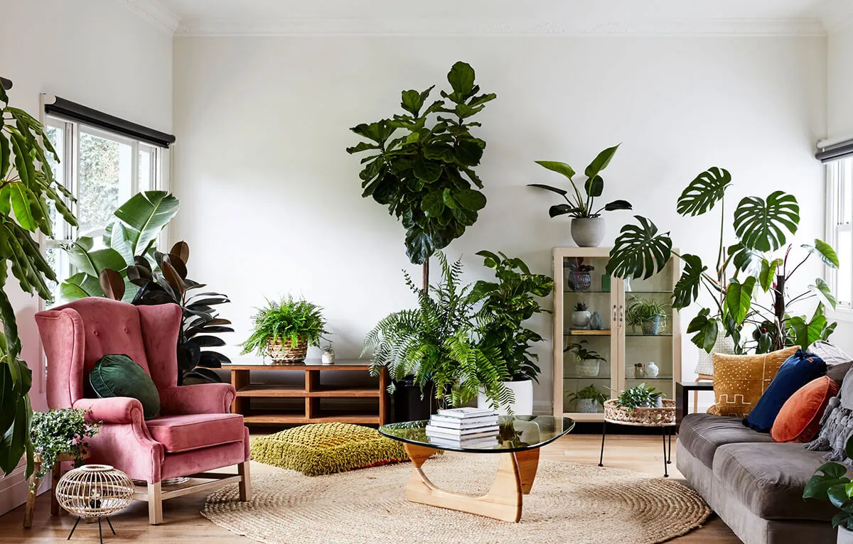 ulifeel-home-2.jpg