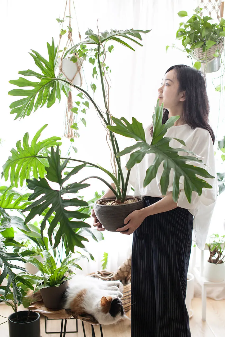 服装设计师星子:把深爱的自然带回家,和绿植一起坚韧成长 Body Image 24