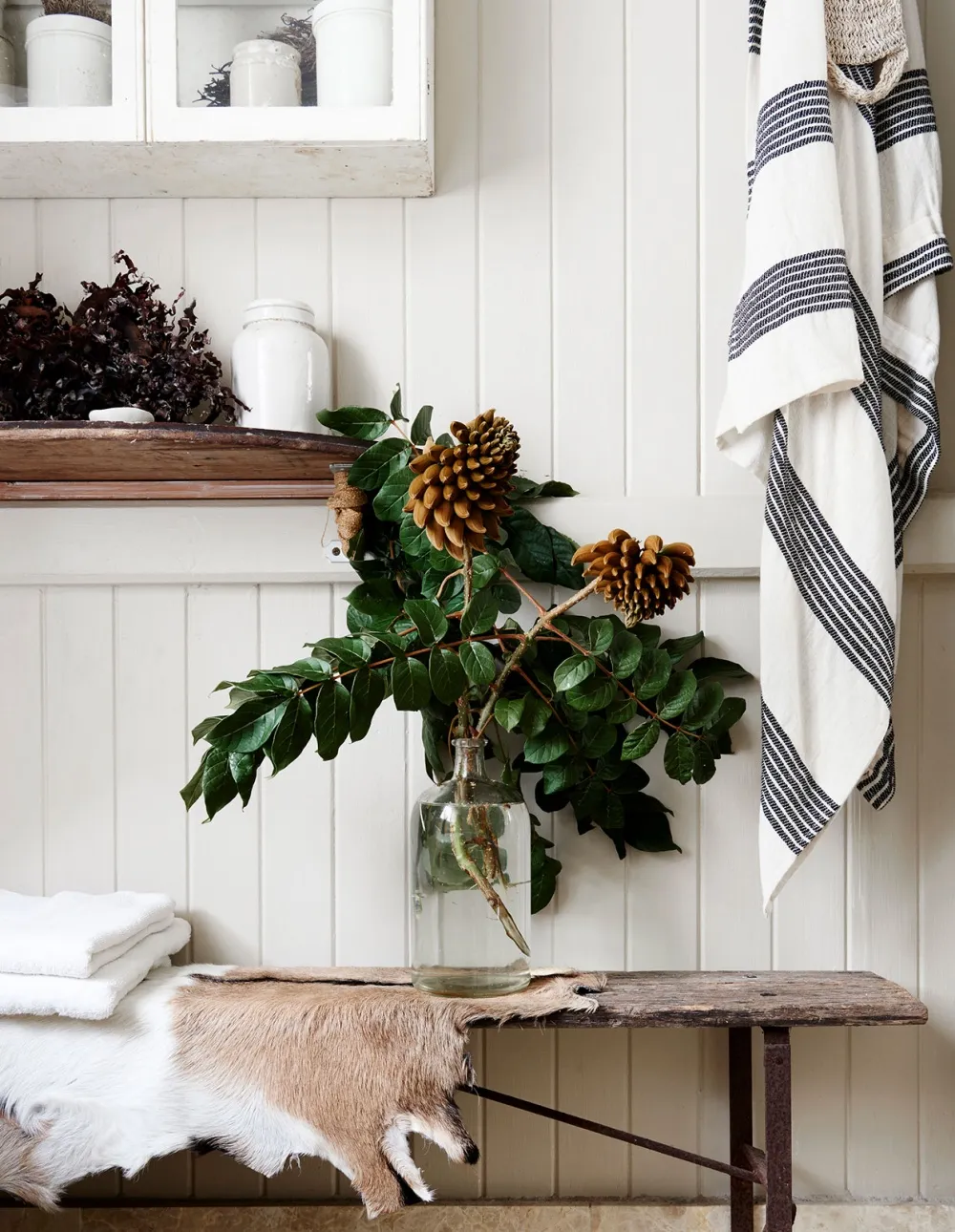 ulifeel_A-Photographers-Brisbane-Home-Full-of-Collections-and-Coastal-Décor-5-1.jpg
