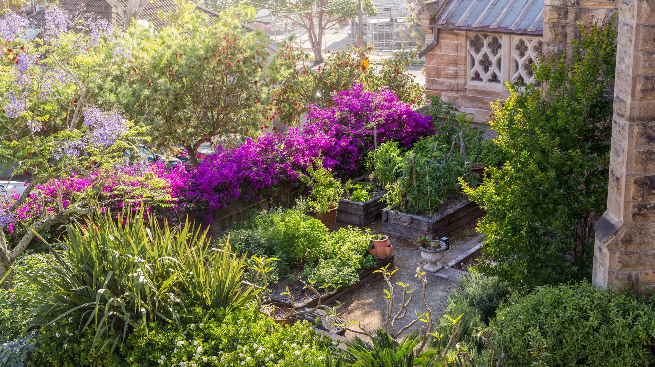 ulifeel_Ann-Sherry和Michael-Hogan-7.jpg