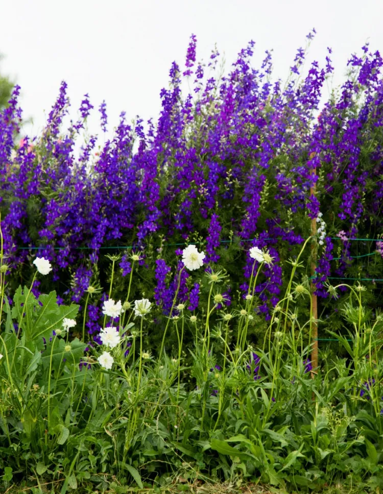 ulifeel_flover-13.jpg