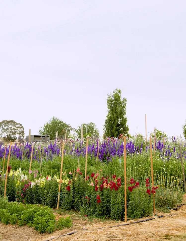 ulifeel_flover-16.jpg