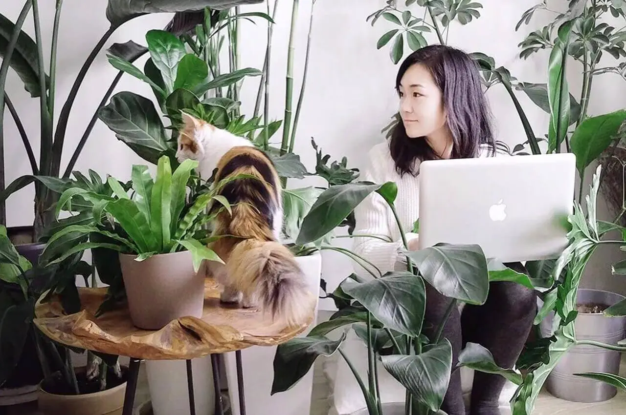 ulifeel_home1-1.jpg