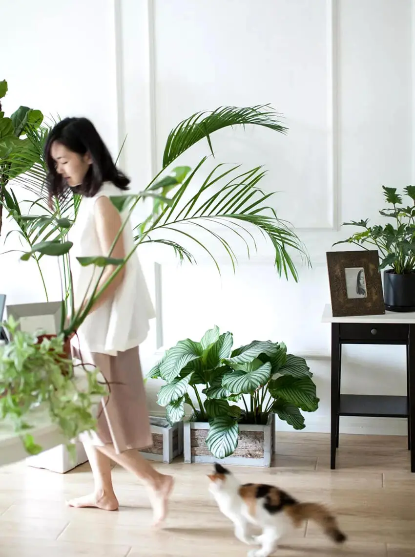 ulifeel_home14-.jpg