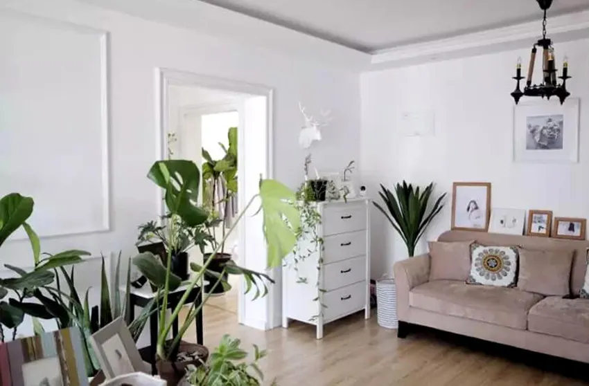 ulifeel_home15-1.jpg