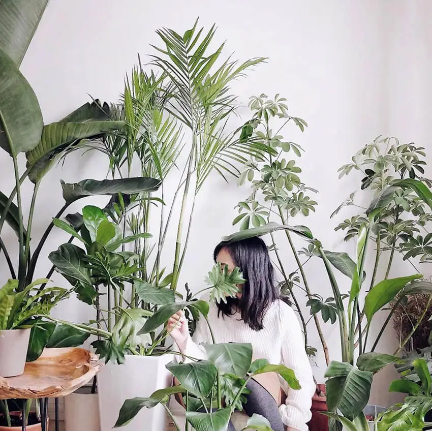 ulifeel_home16.jpg