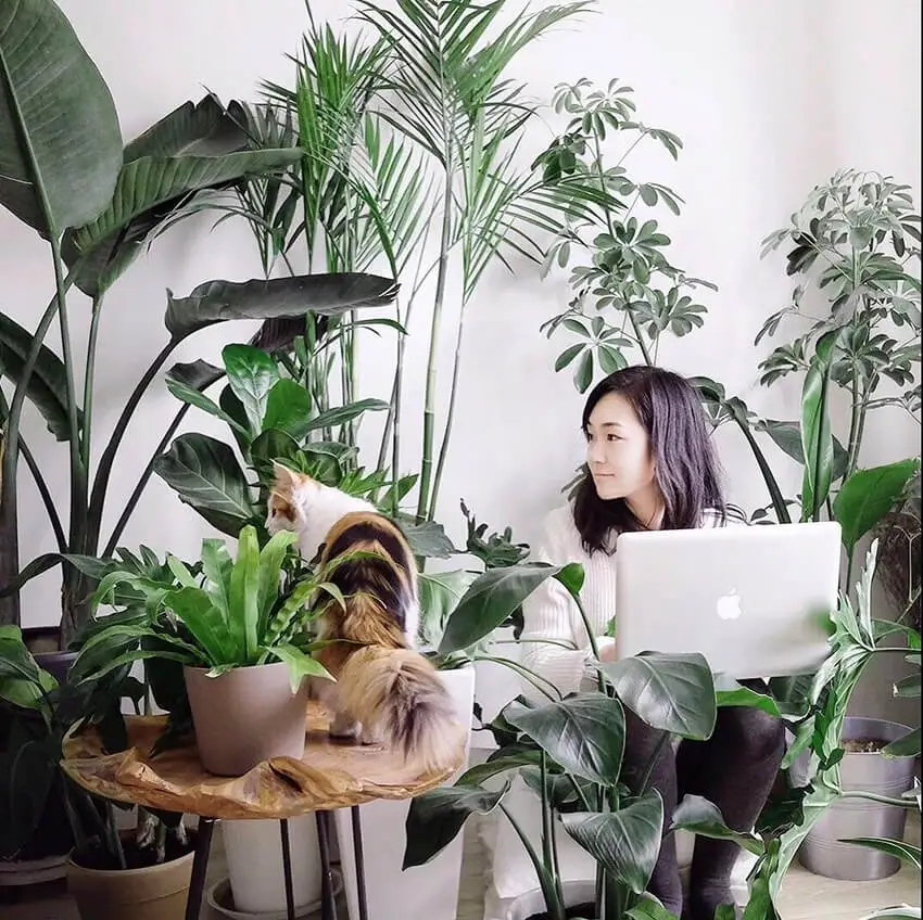 ulifeel_home17.jpg