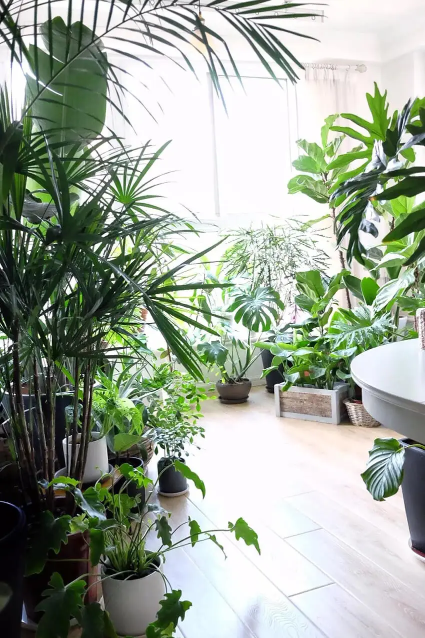 ulifeel_home20.jpg