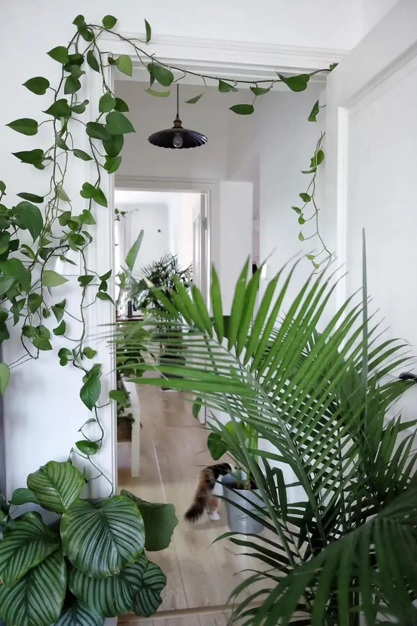 ulifeel_home21.jpg