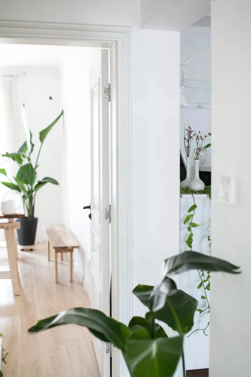 ulifeel_home22.jpg