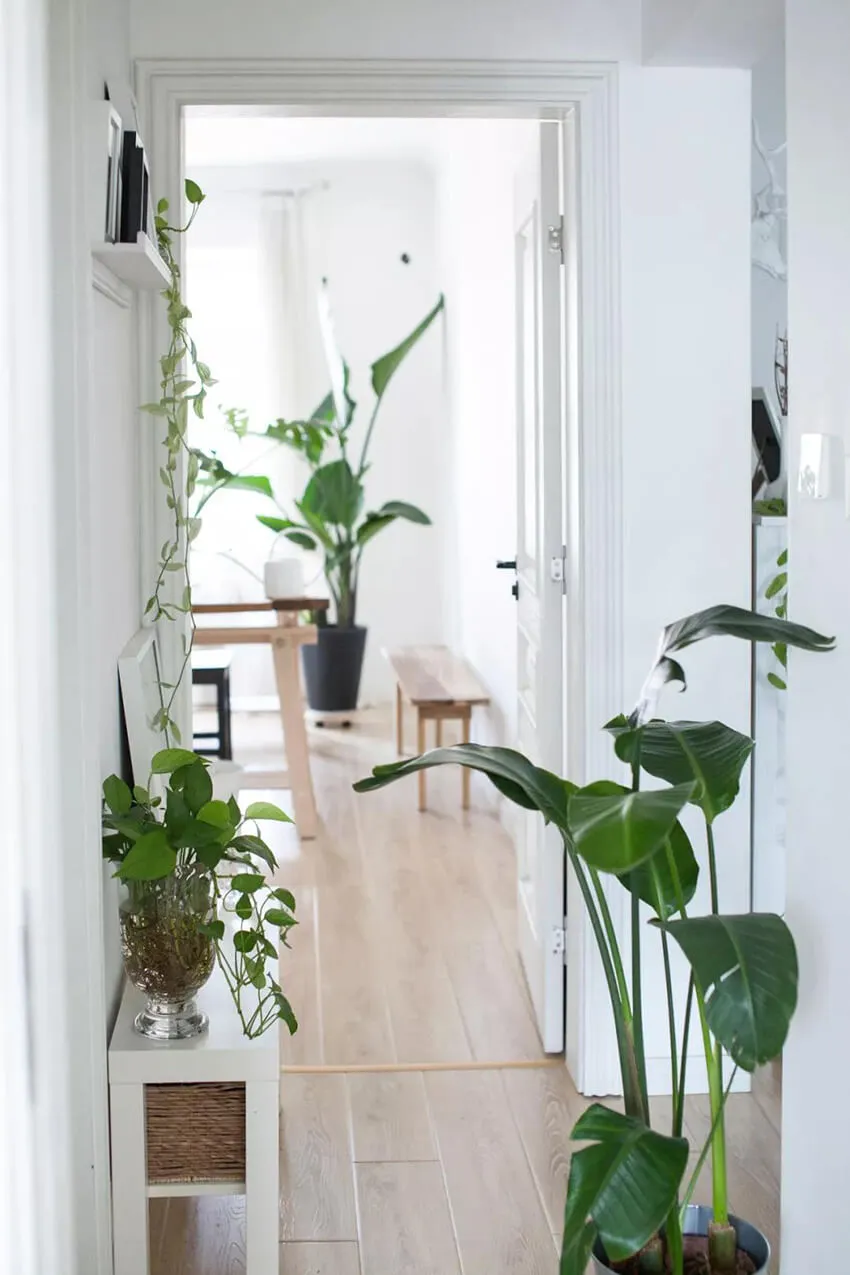ulifeel_home23.jpg
