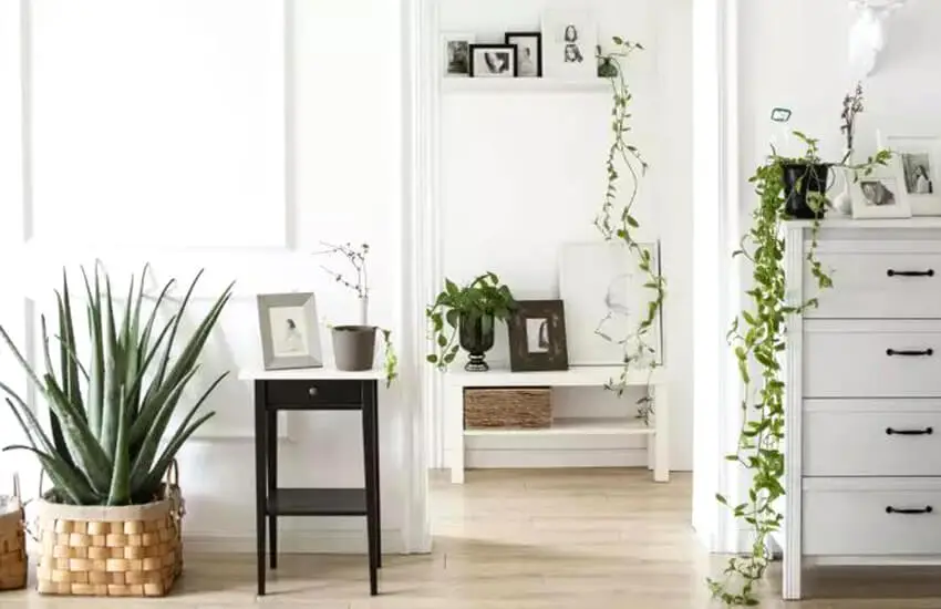 ulifeel_home6.jpg