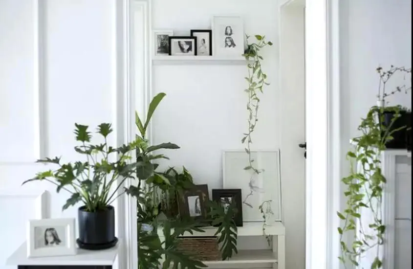 ulifeel_home7.jpg