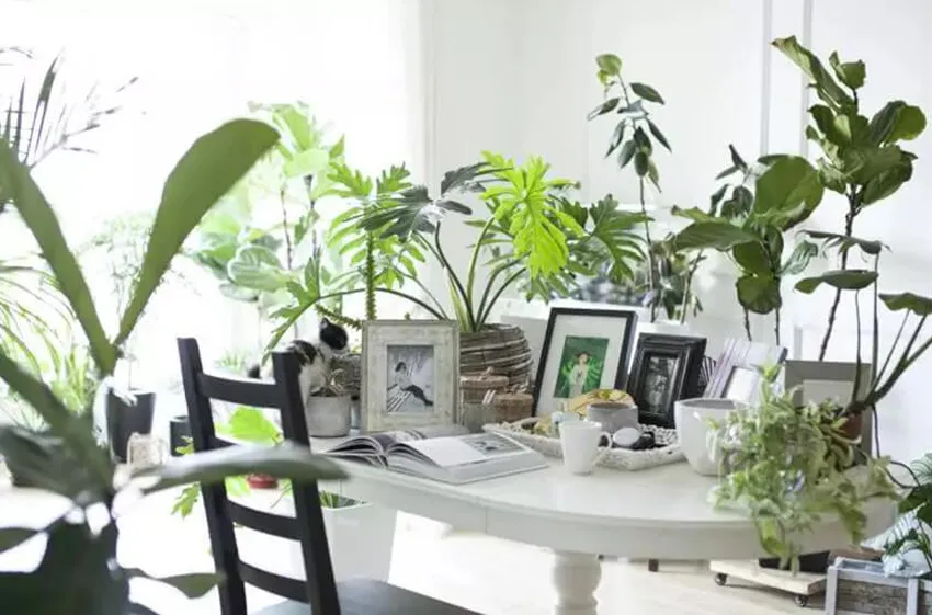 ulifeel_home8-1-1.jpg