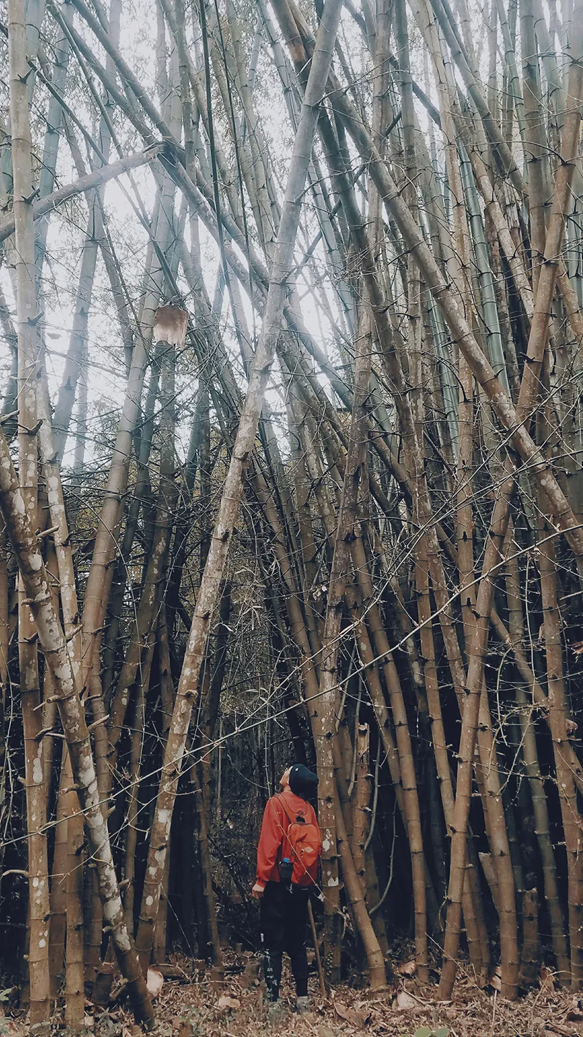旅人阿罗:一个人的环华之旅 Body Image 38