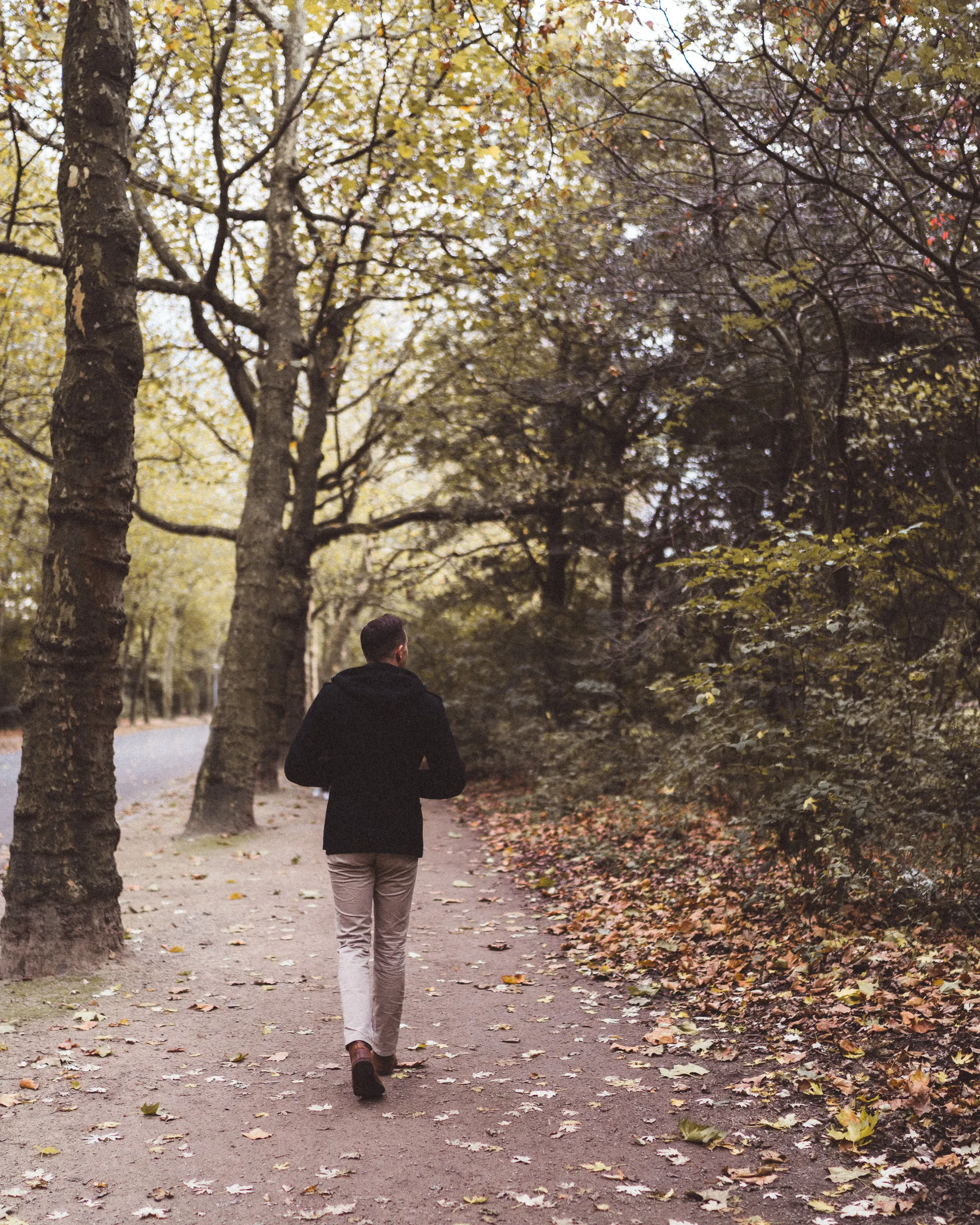 vondelpark-in-fall-amsterdam-1.jpg