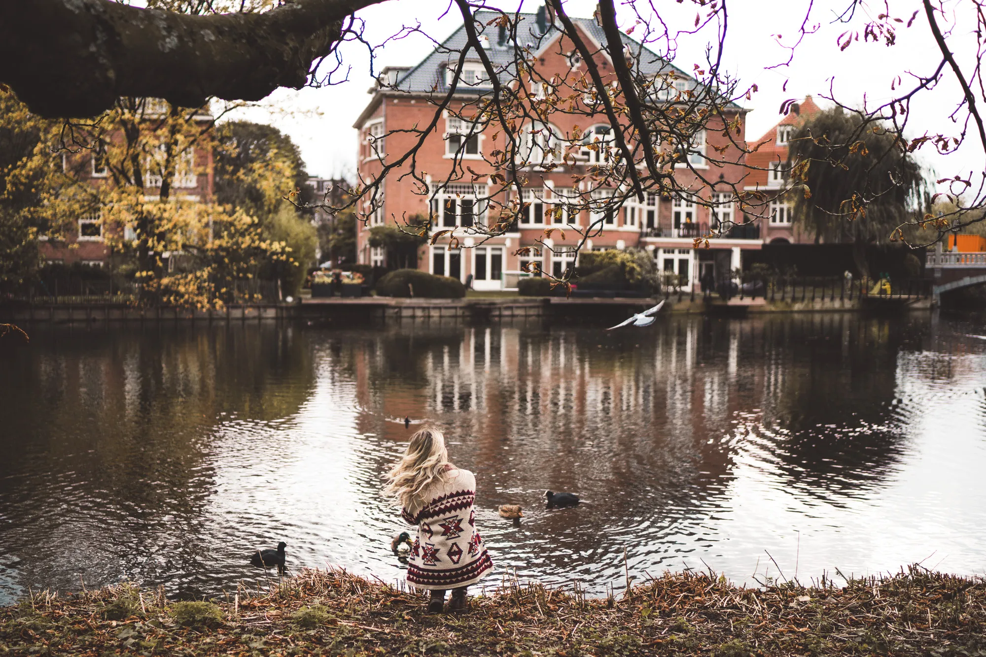 vondelpark-in-fall-amsterdam.jpg